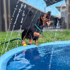 Pet Sprinkler Pool