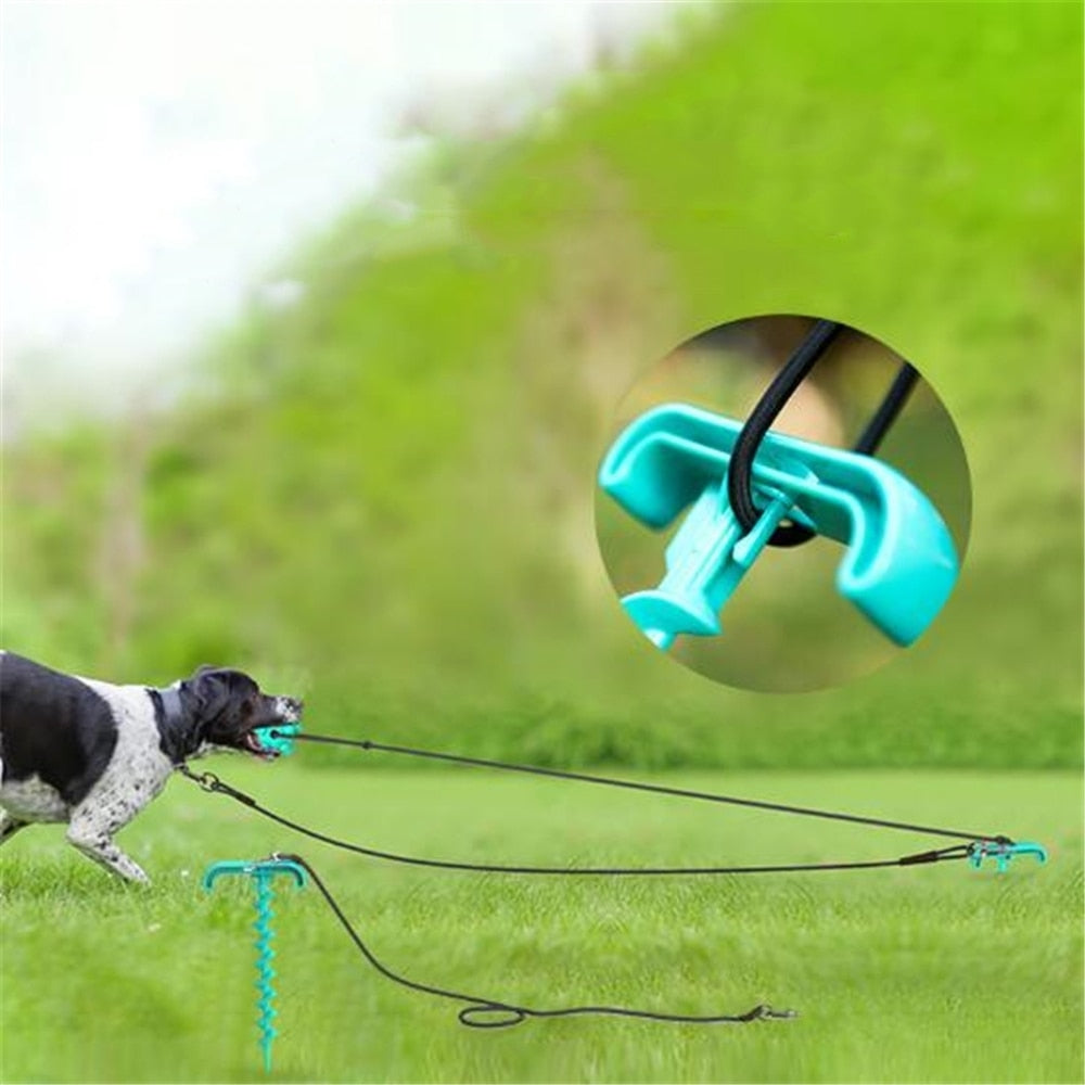 Multifunctional Dog Toy