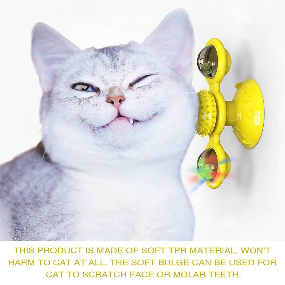 Spin & Play Cat Fun