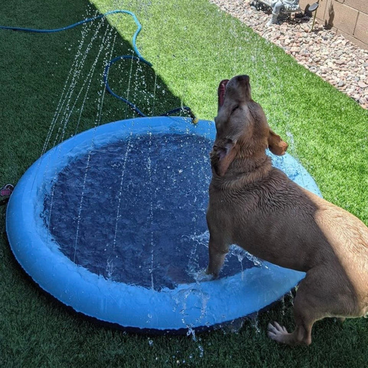 Pet Sprinkler Pool