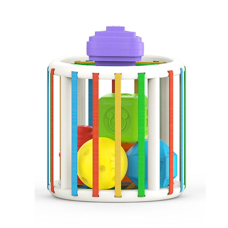 Rainbow Shape & Color Sorter Game