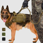 Ultimate Comfort Dog Harness