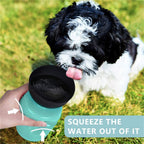 Portable Dog Water Bottle
