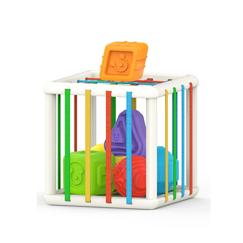 Rainbow Shape & Color Sorter Game