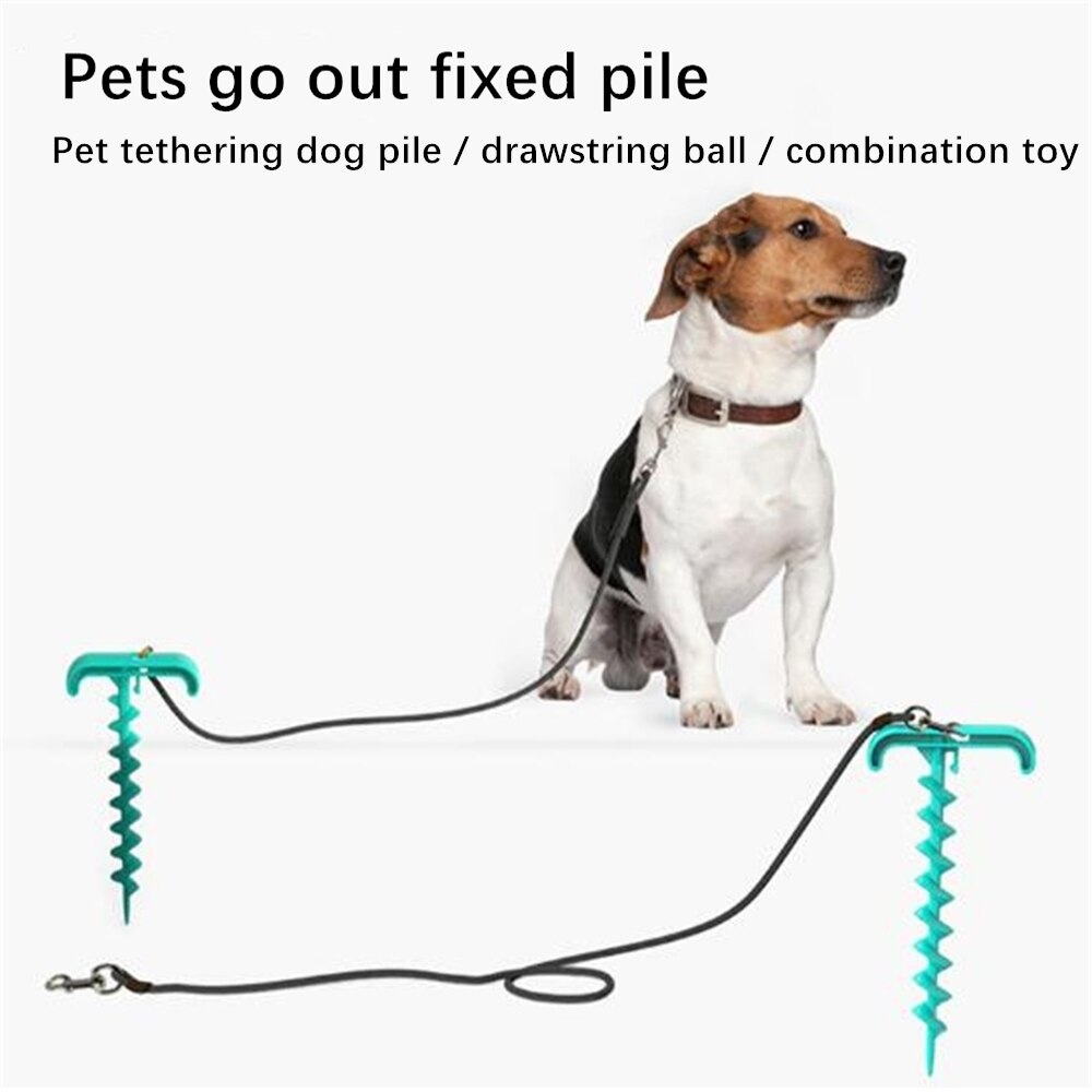 Multifunctional Dog Toy