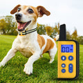 Remote Dog Training Collar