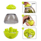 Interactive Pet Toy