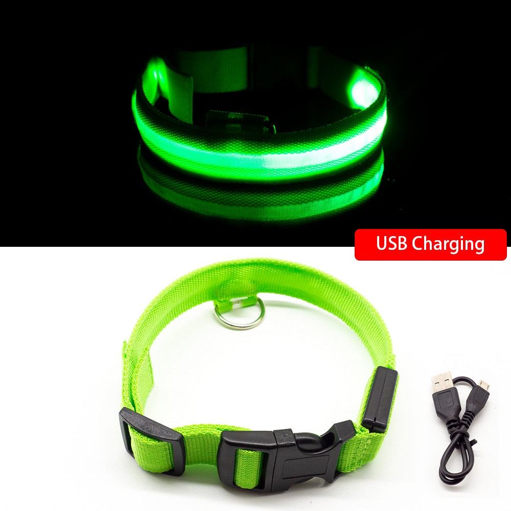 Dog Led Collar