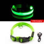Dog Led Collar