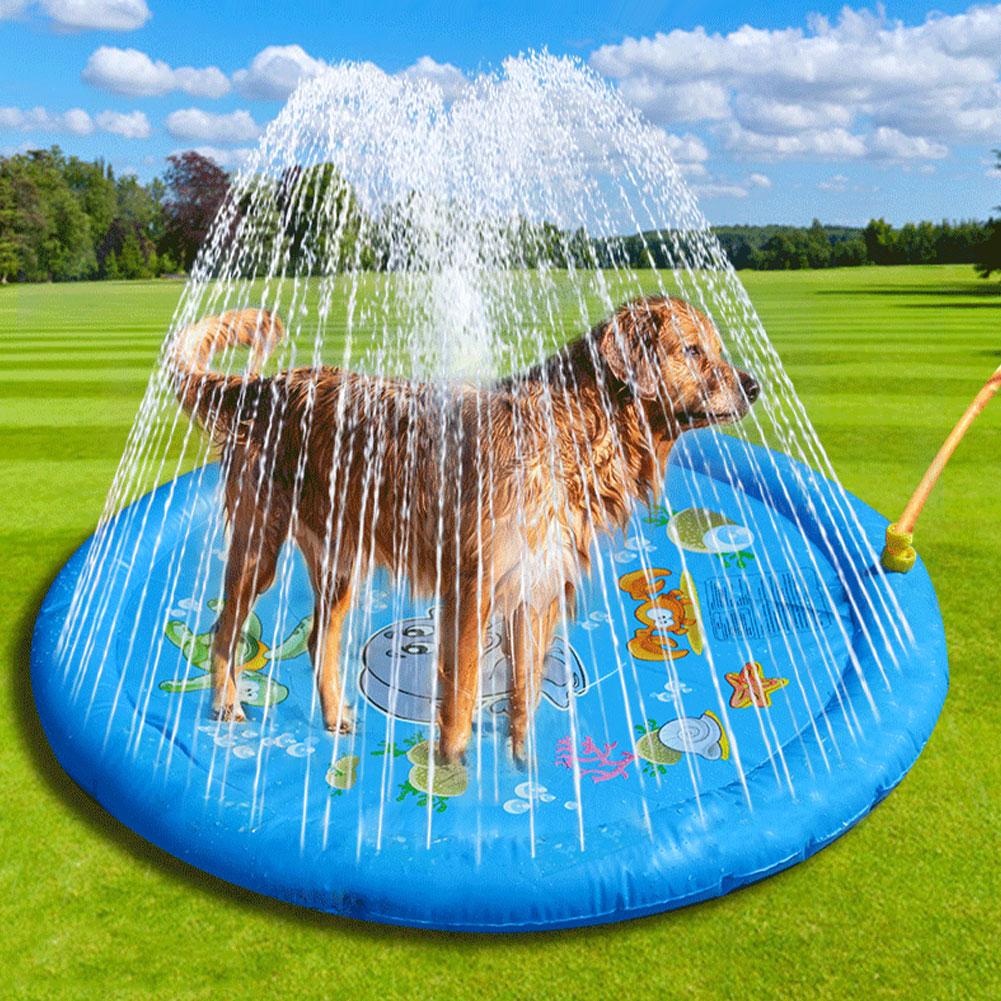 Pet Sprinkler Pool