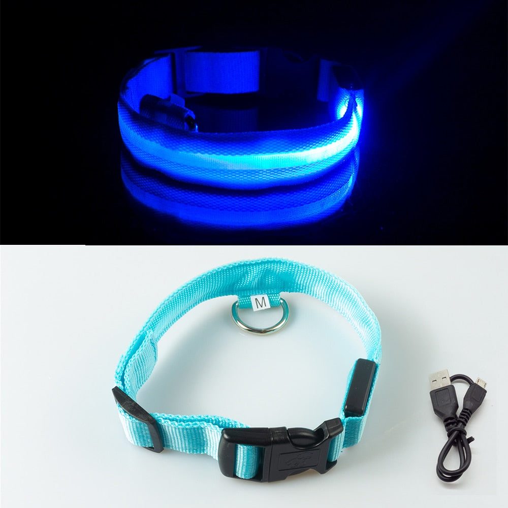 Dog Led Collar