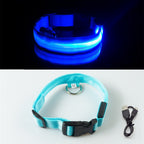 Dog Led Collar