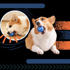 Interactive Obstacle-Avoiding Dog Ball