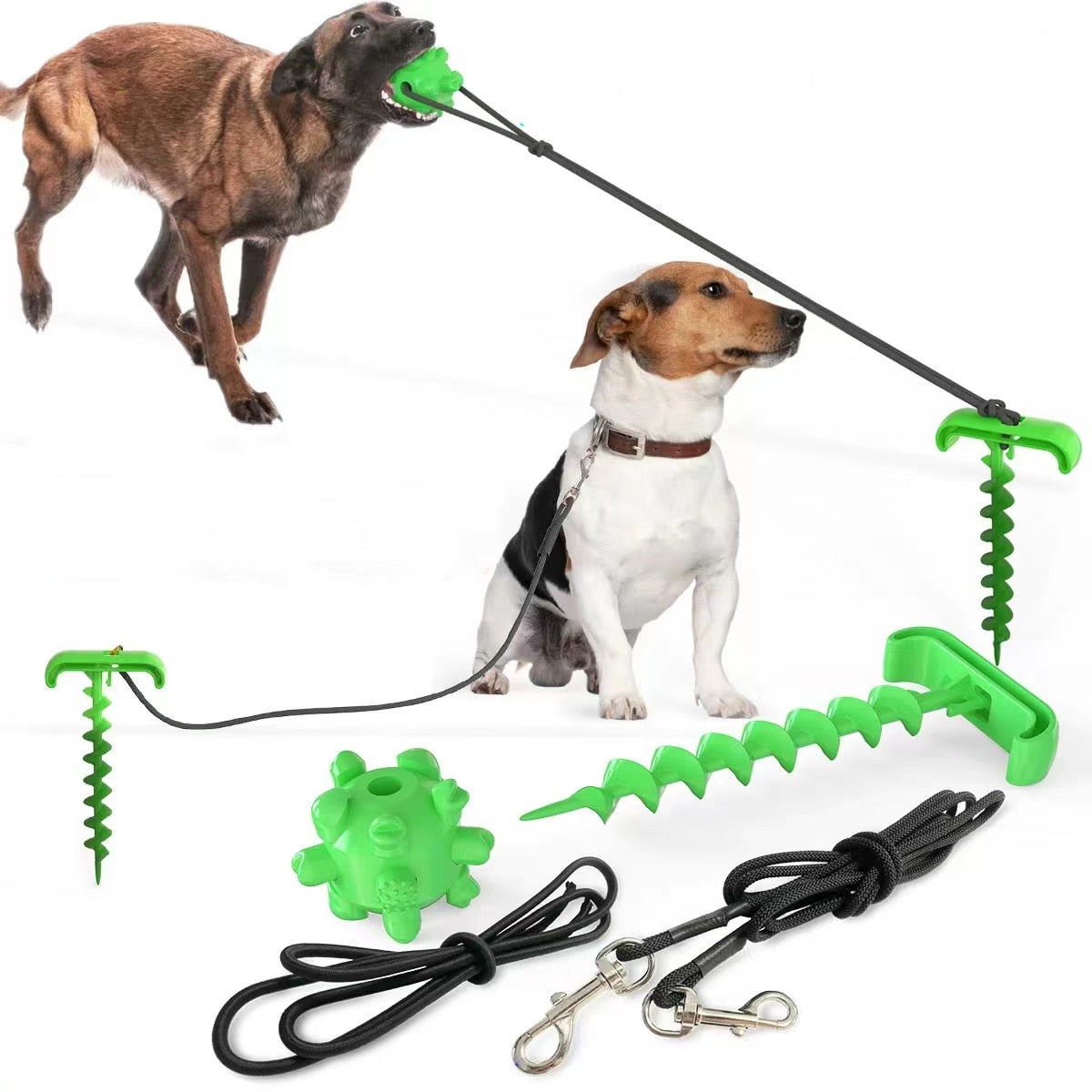 Multifunctional Dog Toy