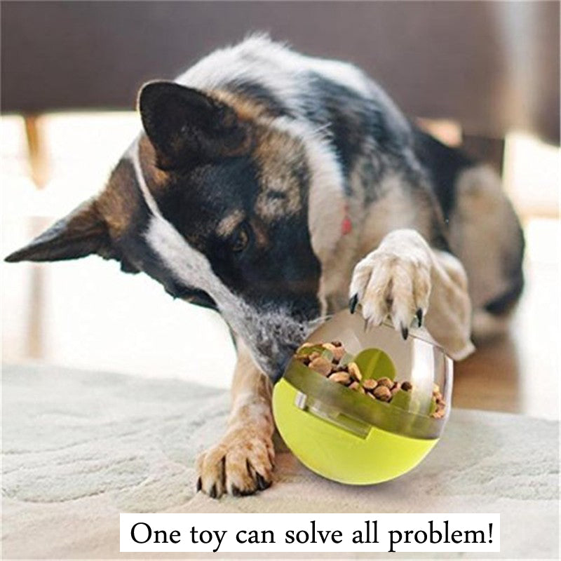 Interactive Pet Toy