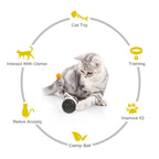 Smart Cat Toy
