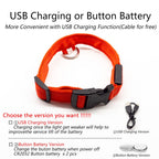 Dog Led Collar