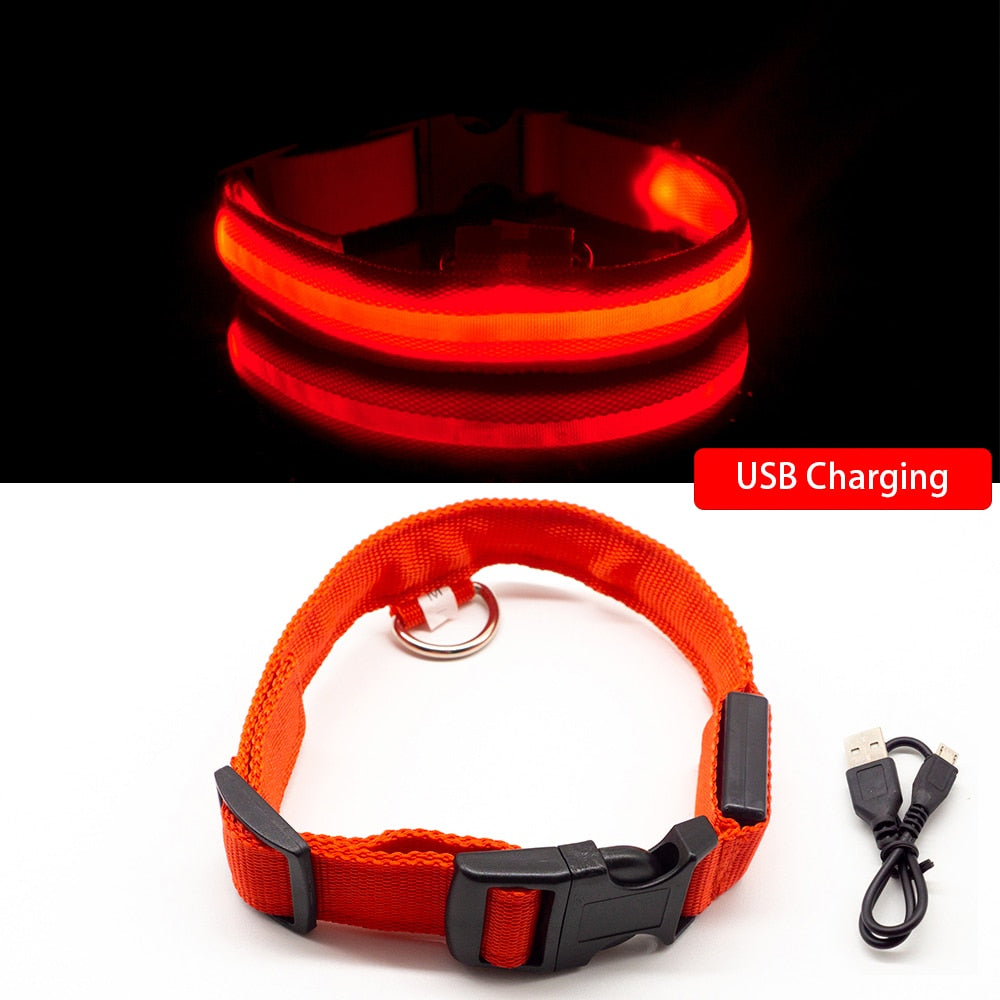 Dog Led Collar