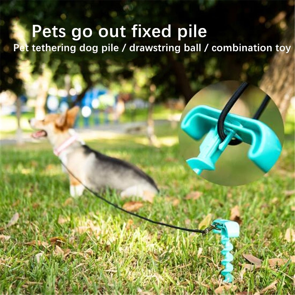 Multifunctional Dog Toy