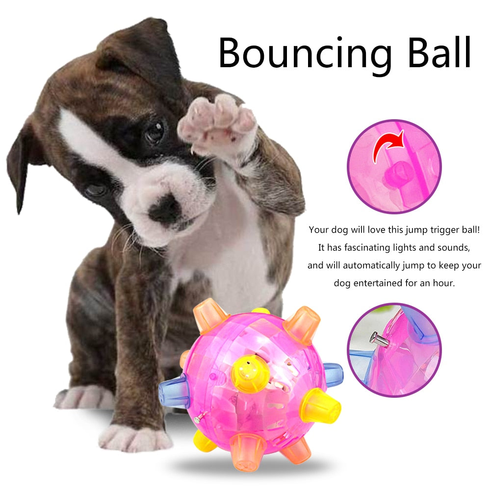 Dog Jumping Ball