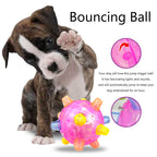 Dog Jumping Ball