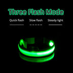 Dog Led Collar