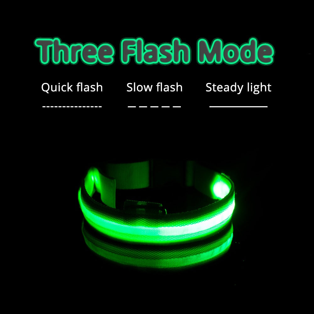 Dog Led Collar