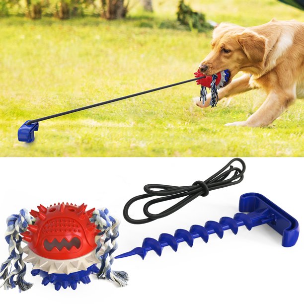 Multifunctional Dog Toy