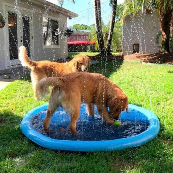 Pet Sprinkler Pool