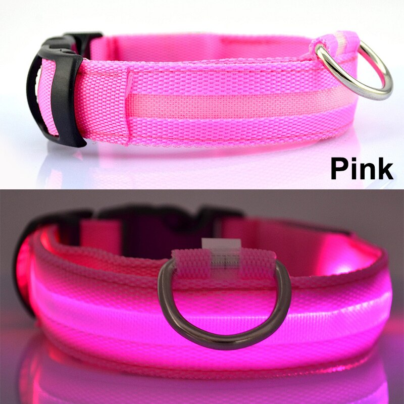Dog Led Collar