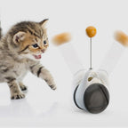 Smart Cat Toy