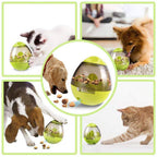 Interactive Pet Toy