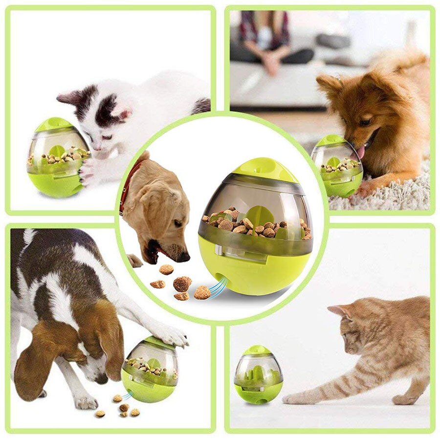 Interactive Pet Toy
