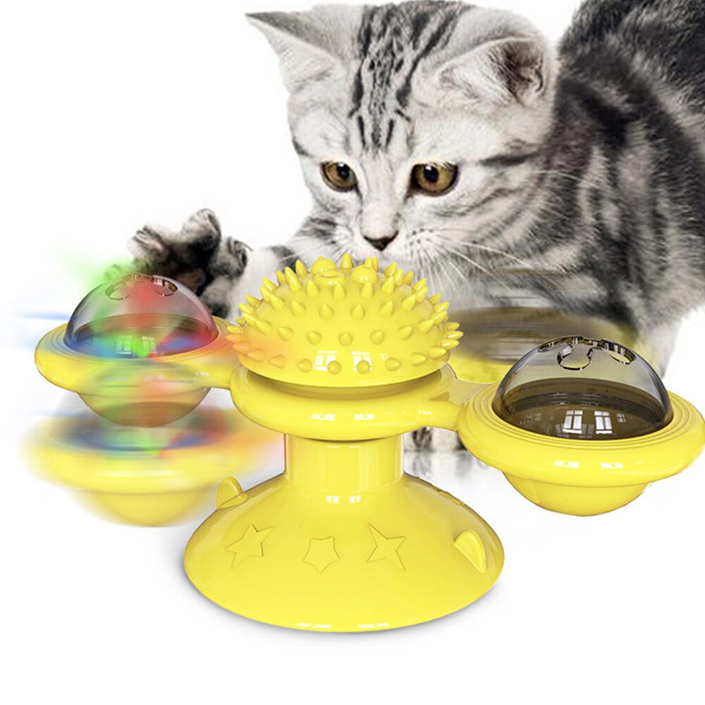 Spin & Play Cat Fun
