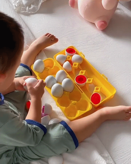 Montessori Geometric Eggs