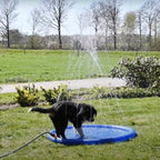 Pet Sprinkler Pool