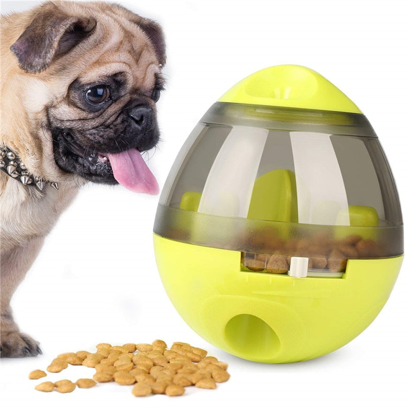 Interactive Pet Toy