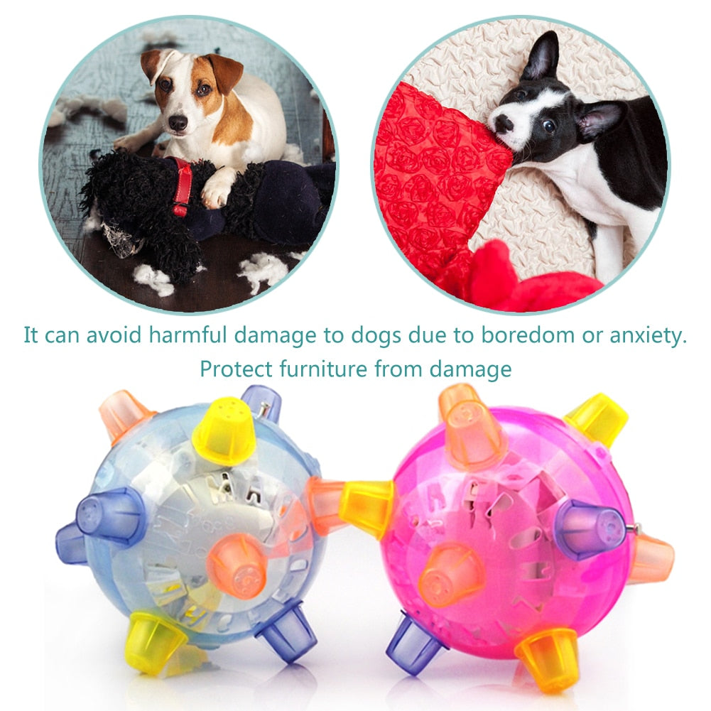 Dog Jumping Ball