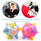 Dog Jumping Ball