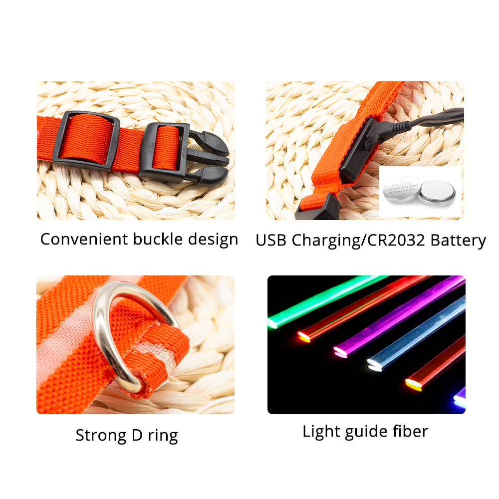 Dog Led Collar