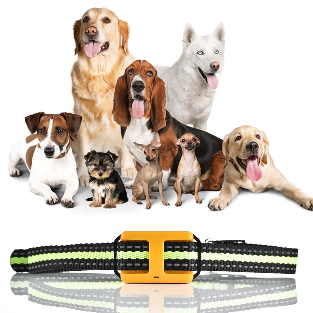 Remote Dog Training Collar