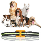 Remote Dog Training Collar