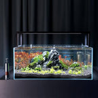 Mini Fish Feeder Aquarium