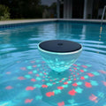 Solar Floating Pool Light with Fish Projection