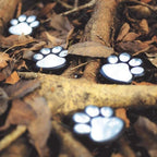 Solar-Powered Paw Print Garden Lights, 3-Pack