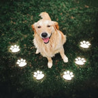 Solar-Powered Paw Print Garden Lights, 3-Pack