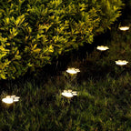 Solar-Powered Paw Print Garden Lights, 3-Pack