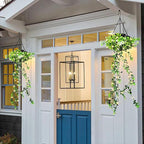 Hanging Solar Ivy Lantern – 8 Light Modes