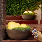 Stone-Shaped LED Garden Lamp with Remote