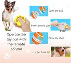 Interactive Dog Ball Toy